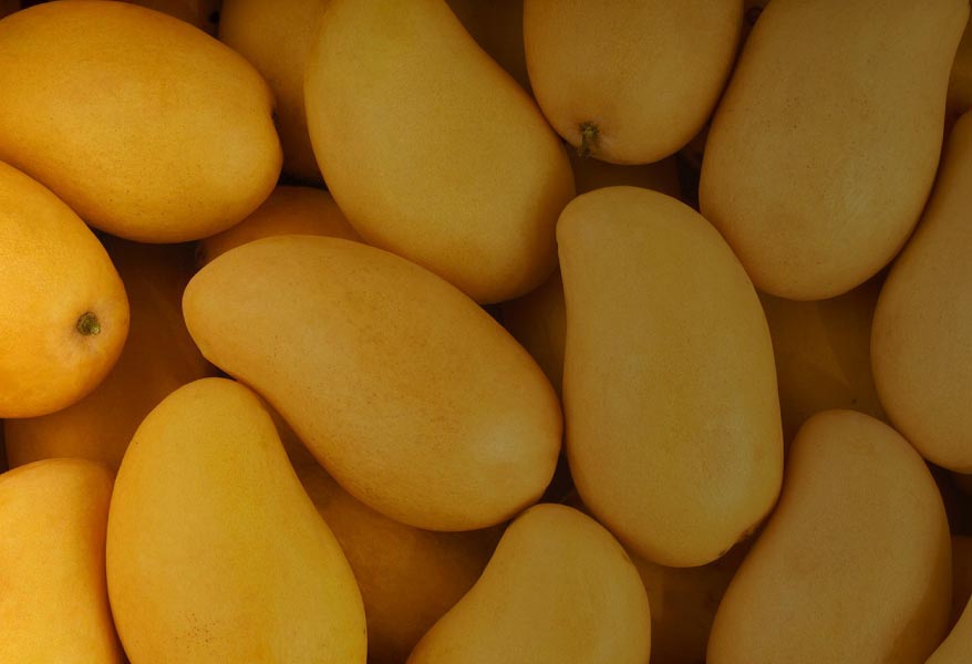 Mango Seasonal